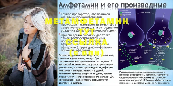 амф Аркадак